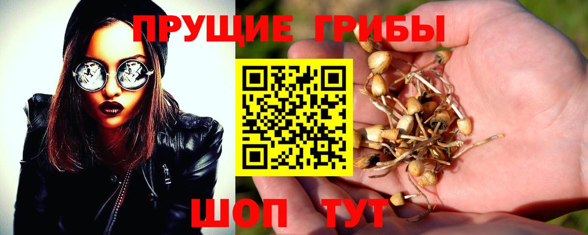 Галлюциногенные грибы мицелий Серов